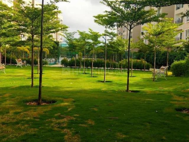 1 RK Apartment in Chokkanahalli for rent Bengaluru. The reference number is 20761051