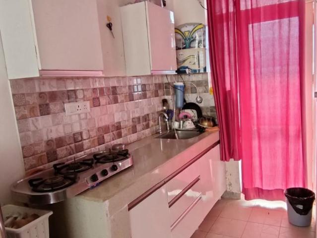 1 RK Apartment in Dhakoli for rent Zirakpur. The reference number is 20913287