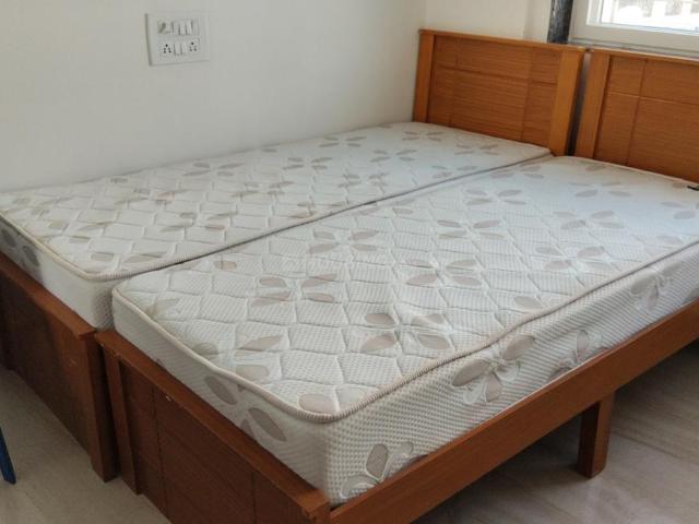 1 RK Apartment in Doddanekundi for rent Bengaluru. The reference number is 19174433