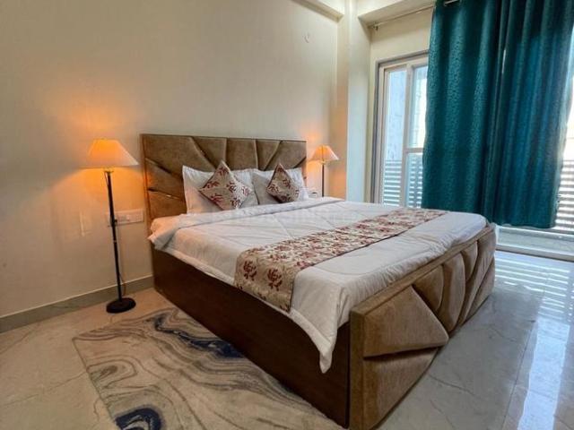 1 RK Apartment in DLF Phase 3 for rent Gurgaon. The reference number is 20894357