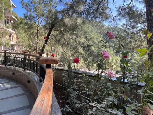 1 RK Apartment in Kasauli for resale Solan. The reference number is 16173450