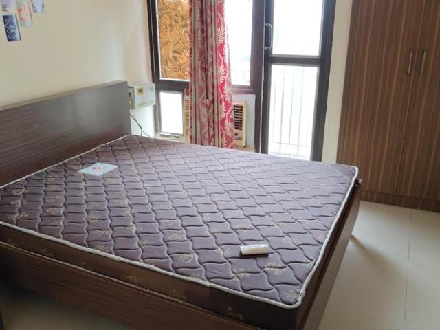 1 RK Apartment in Noida Extension for rent Greater Noida. The reference number is 19719461