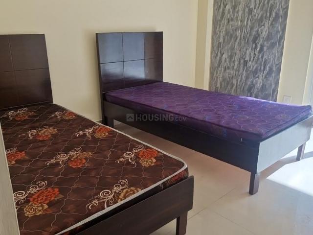 1 RK Apartment in Noida Extension for rent Greater Noida. The reference number is 20005427