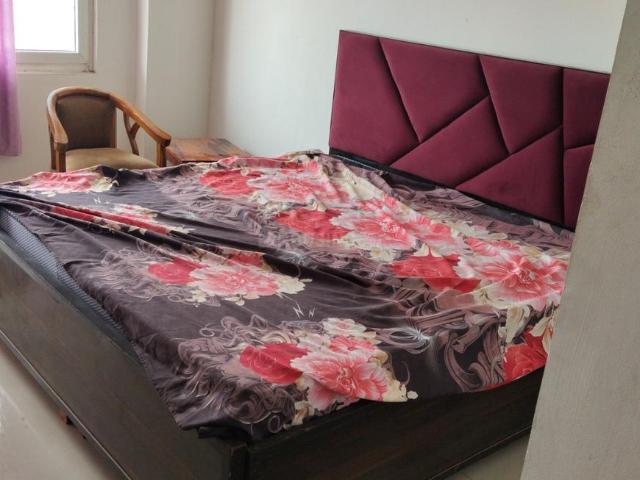 1 RK Apartment in Noida Extension for resale Greater Noida. The reference number is 19933959