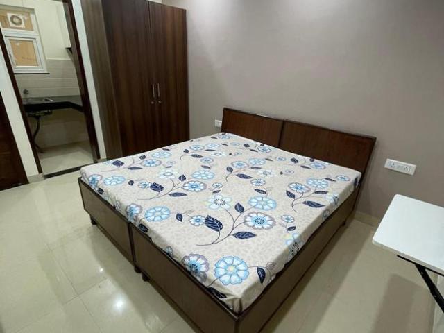 1 RK Apartment in Sector 28 for rent Gurgaon. The reference number is 20894397
