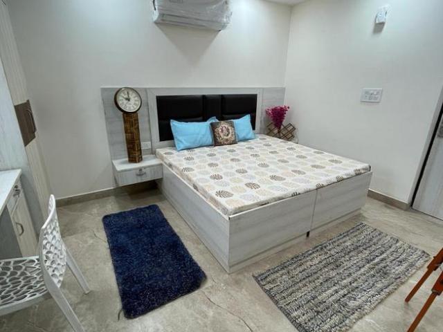 1 RK Apartment in Sector 43 for rent Gurgaon. The reference number is 19536282