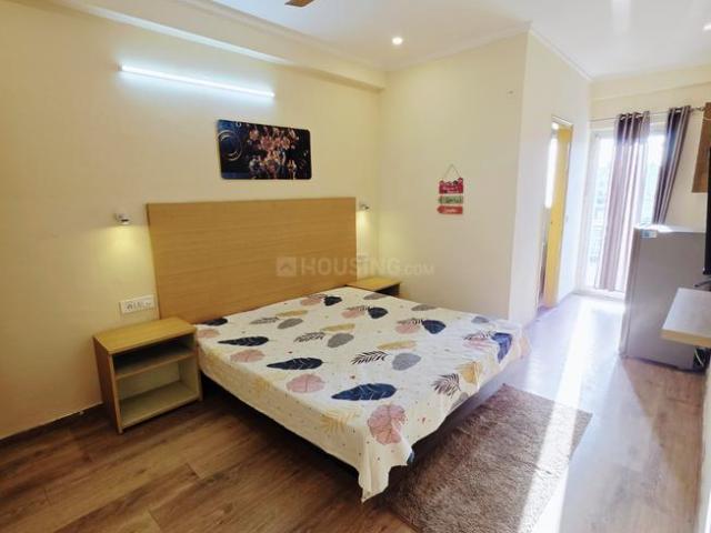 1 RK Apartment in Sector 49 for rent Gurgaon. The reference number is 20000358