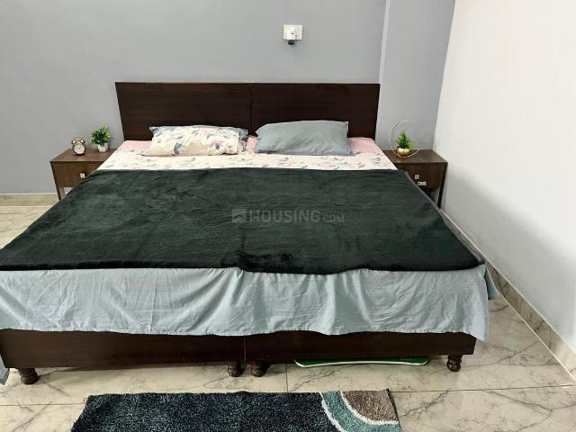 1 RK Apartment in Sector 52 for rent Gurgaon. The reference number is 19166631