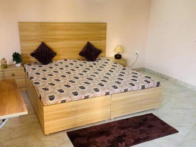 1 RK Apartment in Sector 52A for rent Gurgaon. The reference number is 20295435