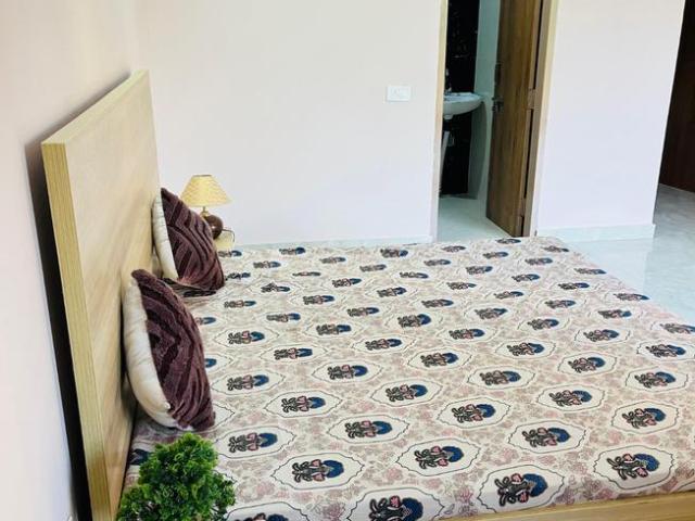 1 RK Apartment in Sector 52A for rent Gurgaon. The reference number is 20310133
