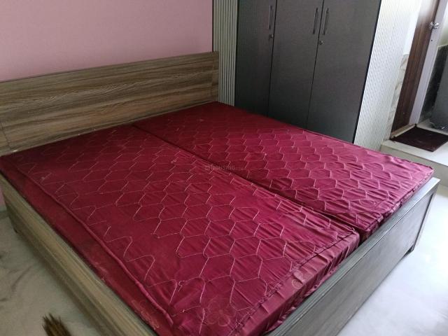 1 RK Apartment in Sector 65 for rent Gurgaon. The reference number is 20708592