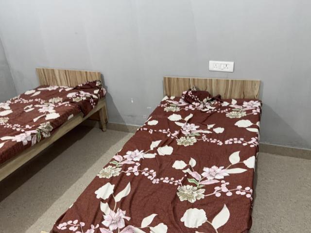 1 RK Apartment in Sector 73 for rent Noida. The reference number is 20422653