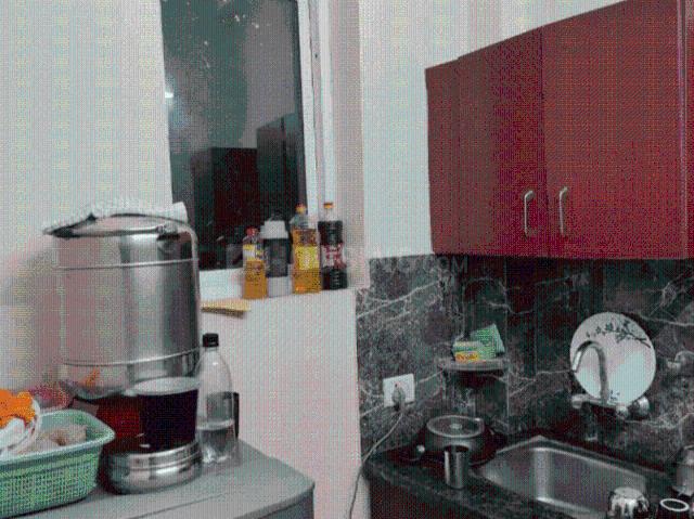 1 RK Apartment in Sushant Lok Phase 1 for rent Gurgaon. The reference number is 18649177