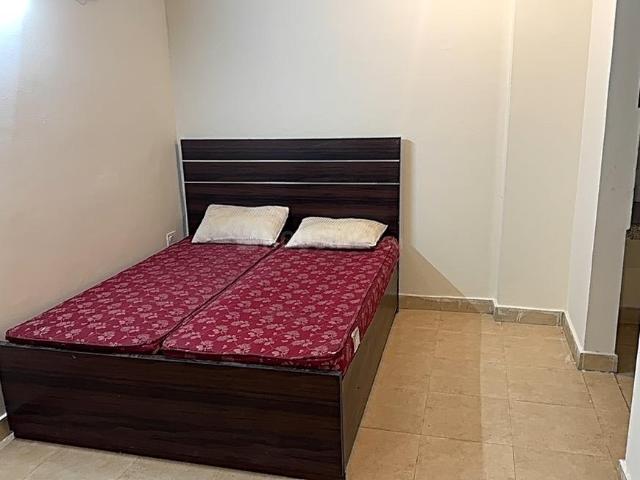 1 RK Apartment in Sushant Lok Phase 1 for rent Gurgaon. The reference number is 19839694
