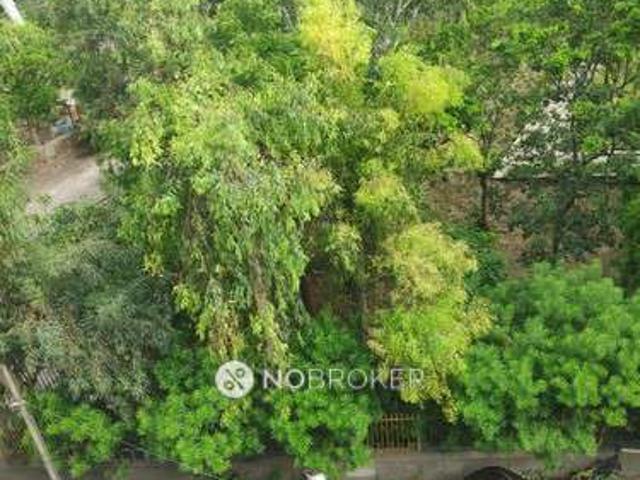 1 RK Flat for Rent In Mukherjee Nagar