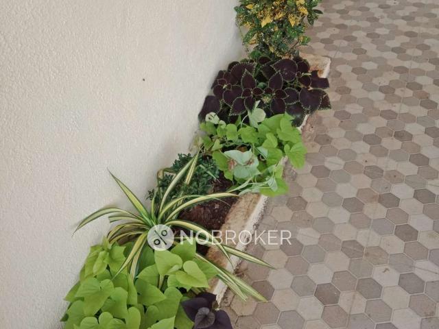 1 RK Flat for Rent In Wagholi