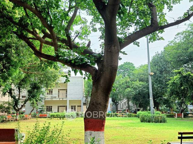 1 RK Flat In Dda Shanti Kunj Apartment for Rent In Dwarka S