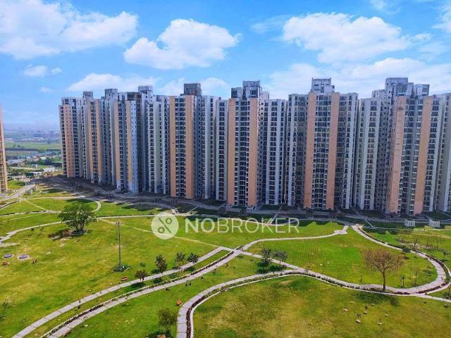 1 RK Flat In Jaypee Aman for Rent In Sector 151