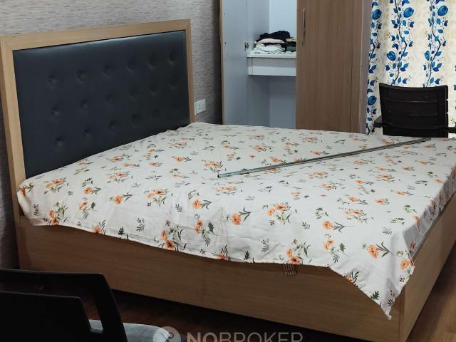 1 RK Flat In Nimbus The Golden Palms for Rent In Sector 168