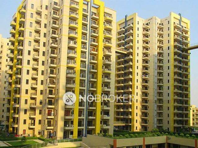1 RK Flat In Rps Savana for Rent In Sector 88