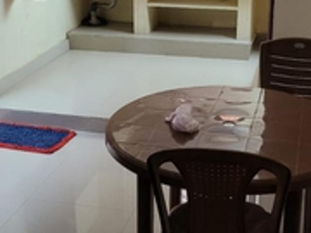 1 RK House for Rent In Thoraipakkam