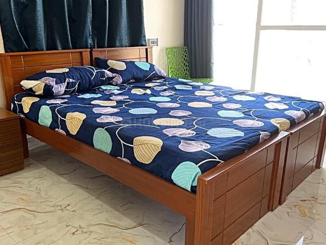1 RK Independent Builder Floor in Doddakannelli for rent Bengaluru. The reference number is 19866229