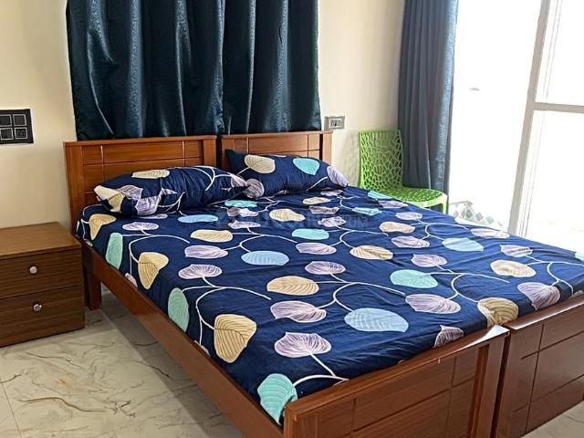 1 RK Independent Builder Floor in Doddakannelli for rent Bengaluru. The reference number is 19868056