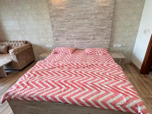 1 RK Independent Builder Floor in DLF Phase 2 for rent Gurgaon. The reference number is 20879850