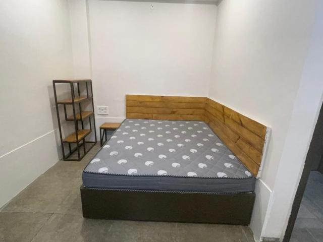 1 RK Independent Builder Floor in Scheme No 54 for rent Indore. The reference number is 20849696