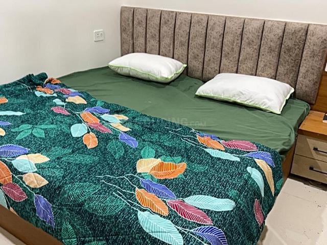 1 RK Independent Builder Floor in Scheme 78 for rent Indore. The reference number is 19740162