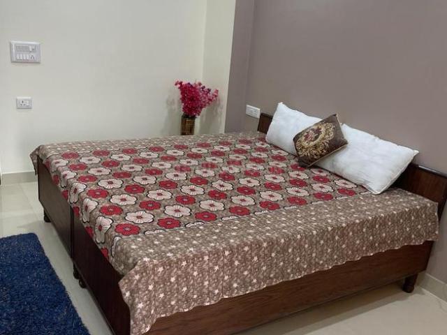 1 RK Independent Builder Floor in Sector 28 for rent Gurgaon. The reference number is 20250072