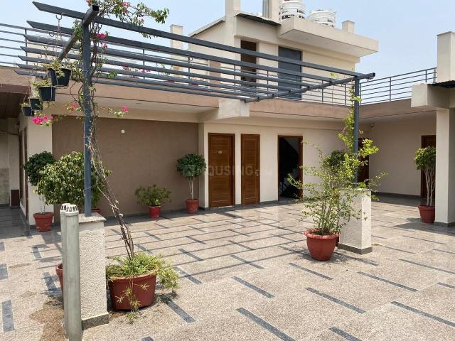 1 RK Independent Builder Floor in Sector 21 for rent Gurgaon. The reference number is 14942553