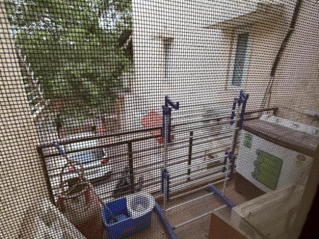 1 RK Independent Builder Floor in Sector 37 for rent Noida. The reference number is 20452604