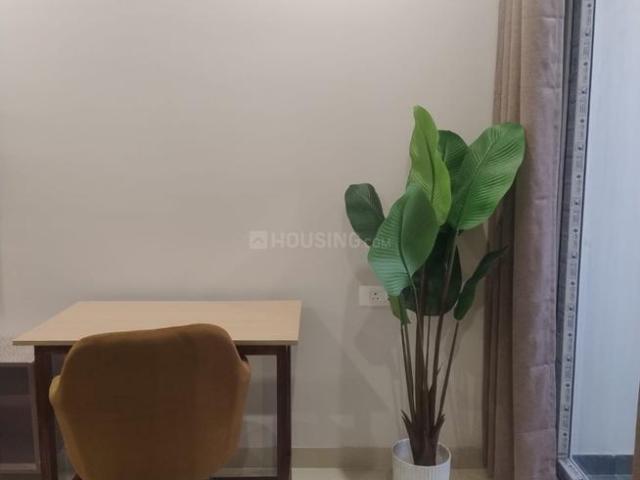 1 RK Independent Builder Floor in Sector 40 for rent Gurgaon. The reference number is 20297810