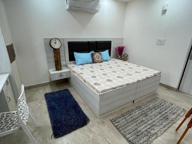 1 RK Independent Builder Floor in Sector 43 for rent Gurgaon. The reference number is 19872997