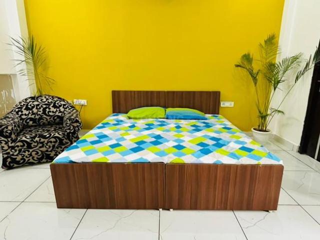 1 RK Independent Builder Floor in Sector 43 for rent Gurgaon. The reference number is 20639233
