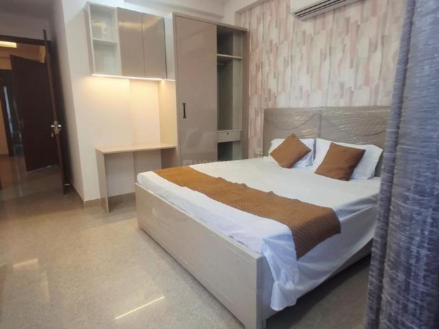 1 RK Independent Builder Floor in Sector 51 for rent Gurgaon. The reference number is 19546905