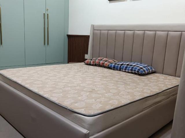 1 RK Independent Builder Floor in Sushant Lok Phase 1 for rent Gurgaon. The reference number is 20497216