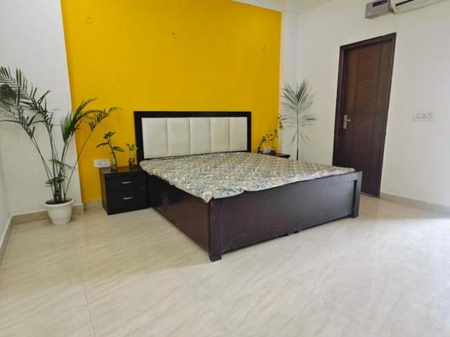 1 RK Independent Builder Floor in Sushant Lok Phase 1 for rent Gurgaon. The reference number is 20504803