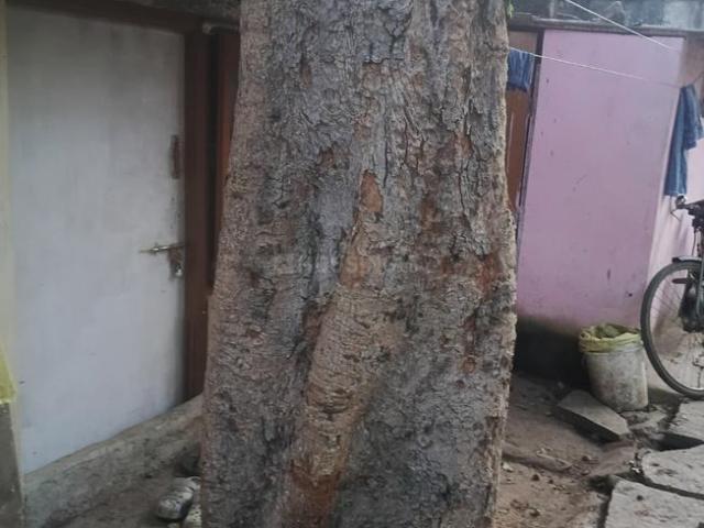 1 RK Independent House in Narayanapura for rent Bengaluru. The reference number is 20072410