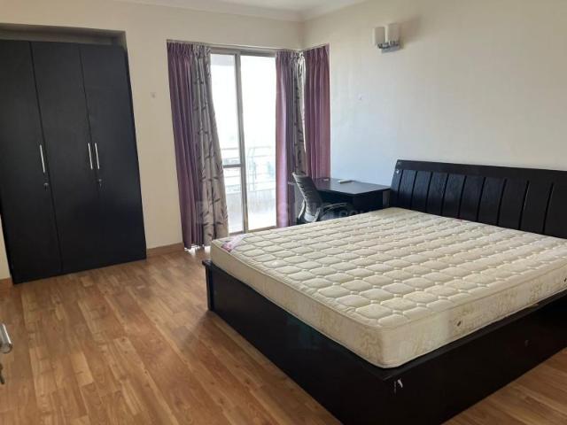 1 RK Independent House in Sector 14 for rent Gurgaon. The reference number is 20979743