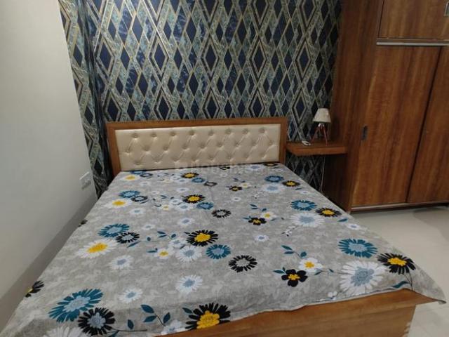 1 RK Studio in Sector 42 for rent Gurgaon. The reference number is 20071658
