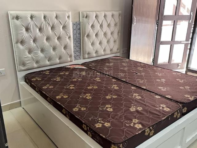 1 RK Studio in Sector 54 for rent Gurgaon. The reference number is 19319766