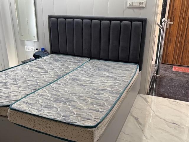1 RK Studio in Sector 54 for rent Gurgaon. The reference number is 19450766