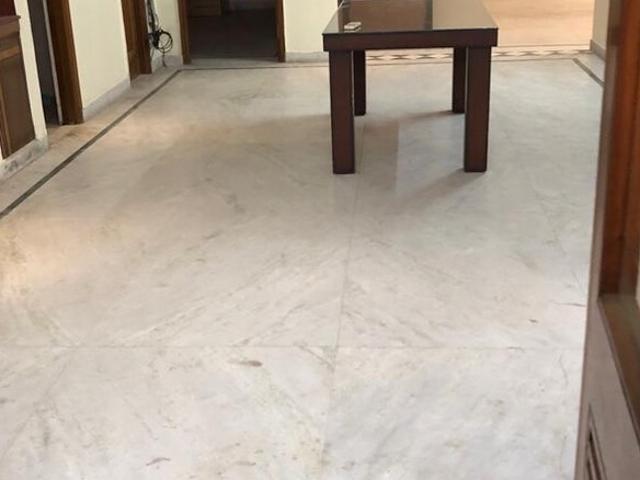 1 RK 1020 Sq.Yd. Apartment in Sector 10a Gurgaon Listing ID: #10403