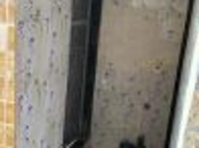 1 RK 280 Sq. Ft BuilderFloor for Sale in Nalasopara East, Mumbai