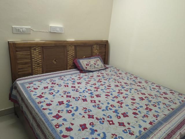 1 RK 600 Sq.Ft. Apartment in Ambala Highway Zirakpur Listing ID: #10317