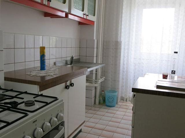 1 room apartment for rent downtown Iasi