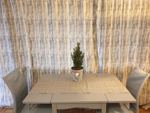 1 ROOM APARTMENT IN BERN, FURNISHED, TEMPORARY