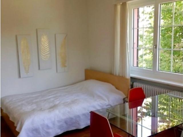 1 room apartment in Liestal BL, furnished